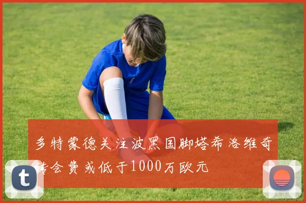 多特蒙德关注波黑国脚塔希洛维奇转会费或低于1000万欧元